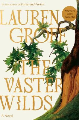 VASTER WILDS