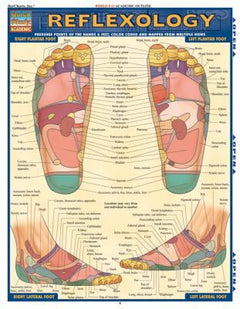 REFLEXOLOGY UPDATED